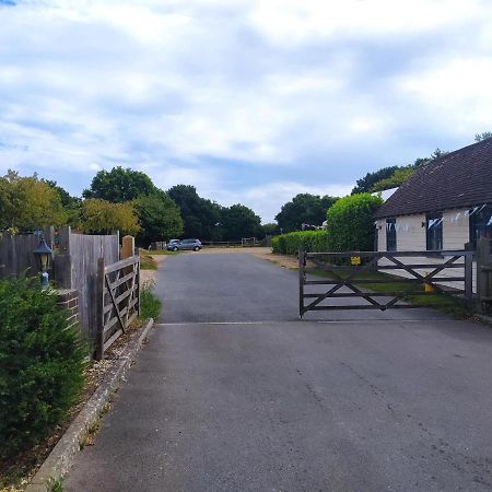 Fletching Garden Flat At The Infamous Piltdown Man Pub 아파트 외부 사진